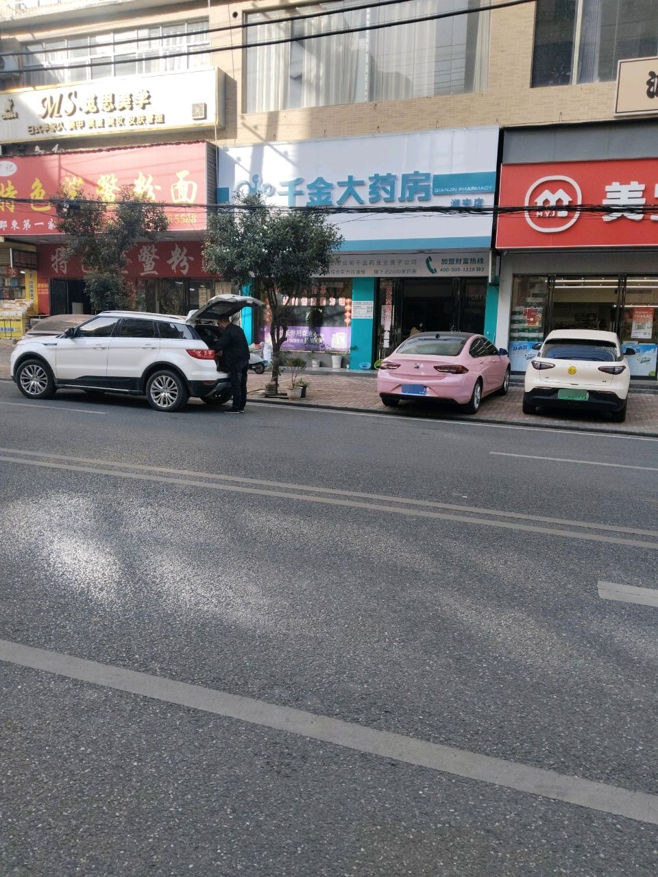 觅思美学
