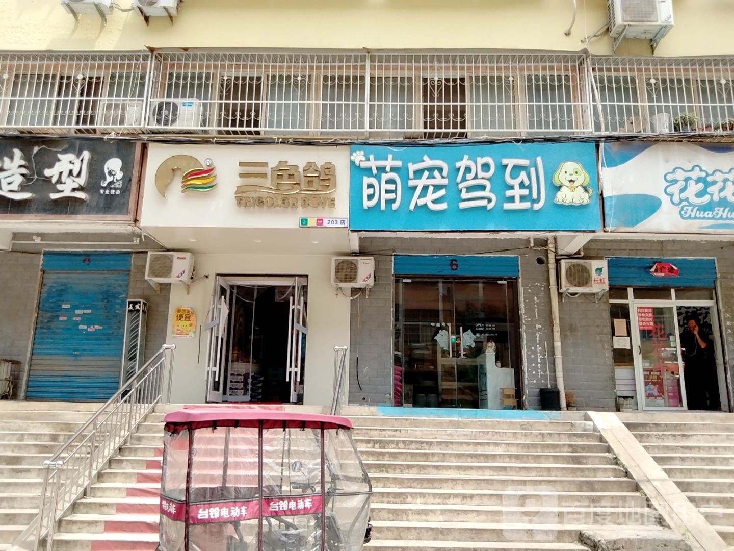 三色鸽203店(北京大道店)