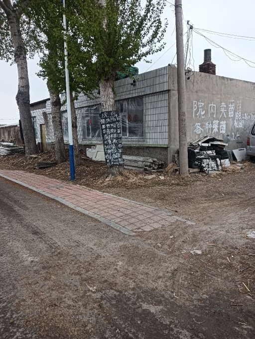 白城市吕桂芹育苗商店