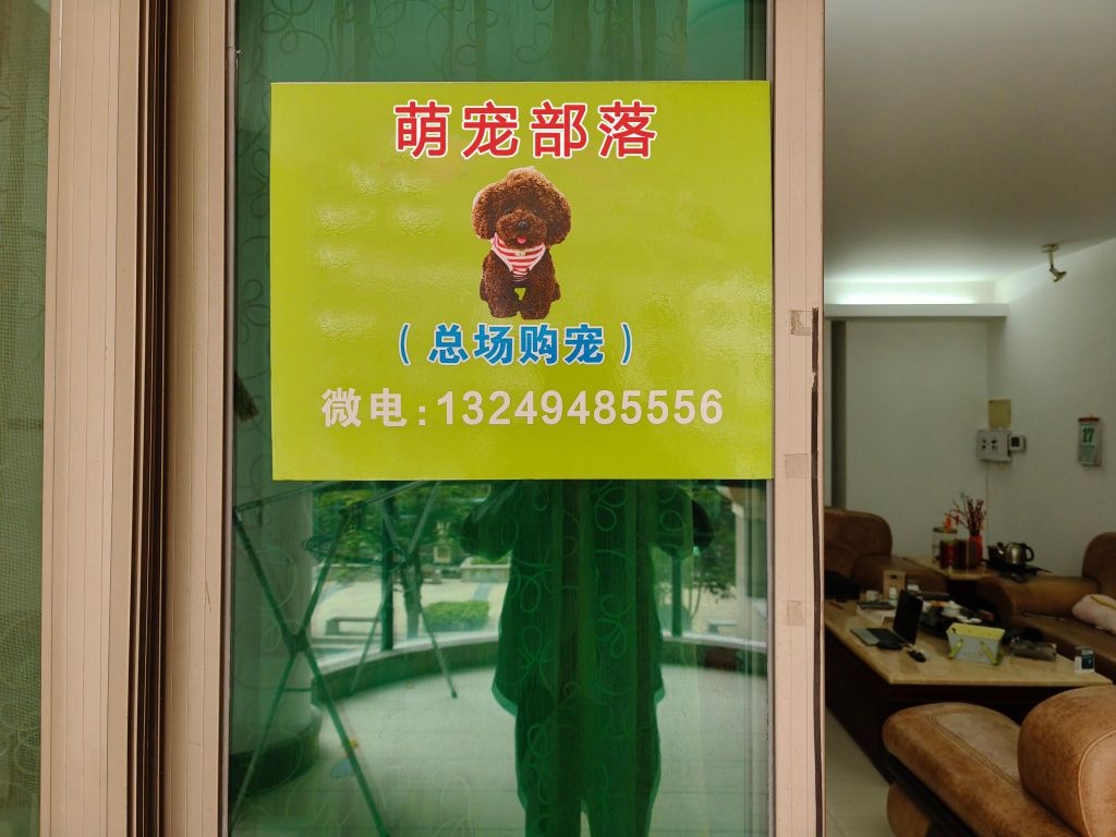 萌宠部落