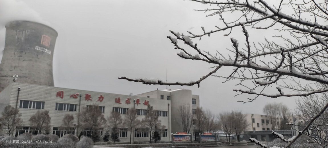 大唐七台河发电有限责任公司