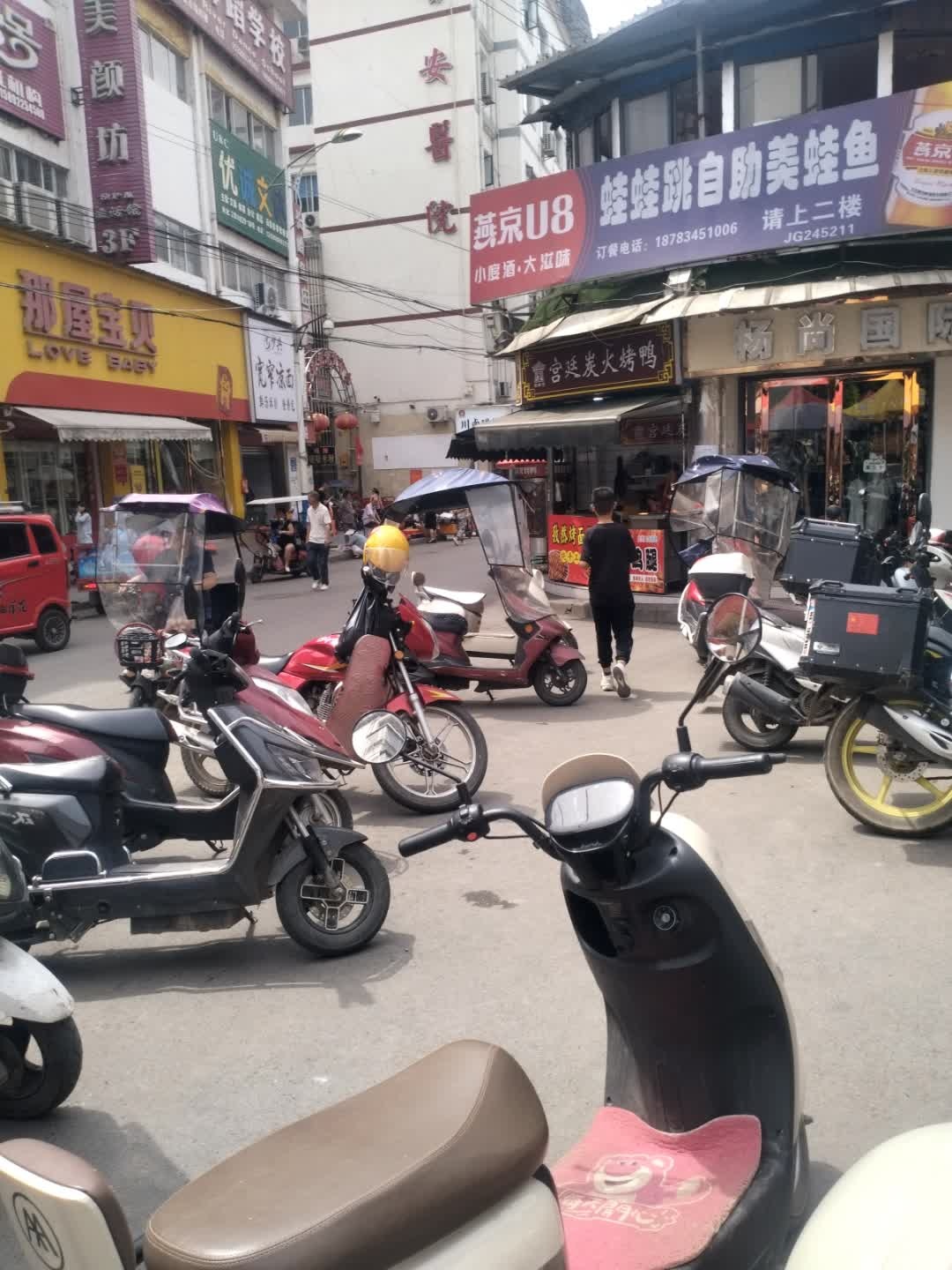 蛙蛙跳自助美蛙鱼