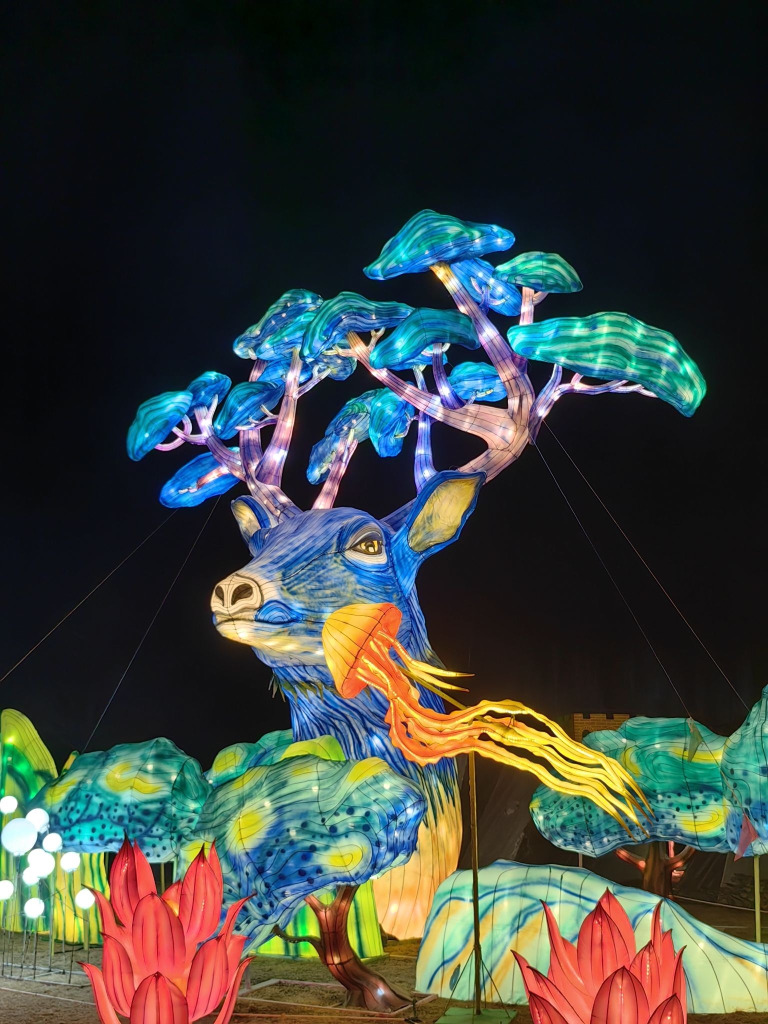 北京国际鲜花港