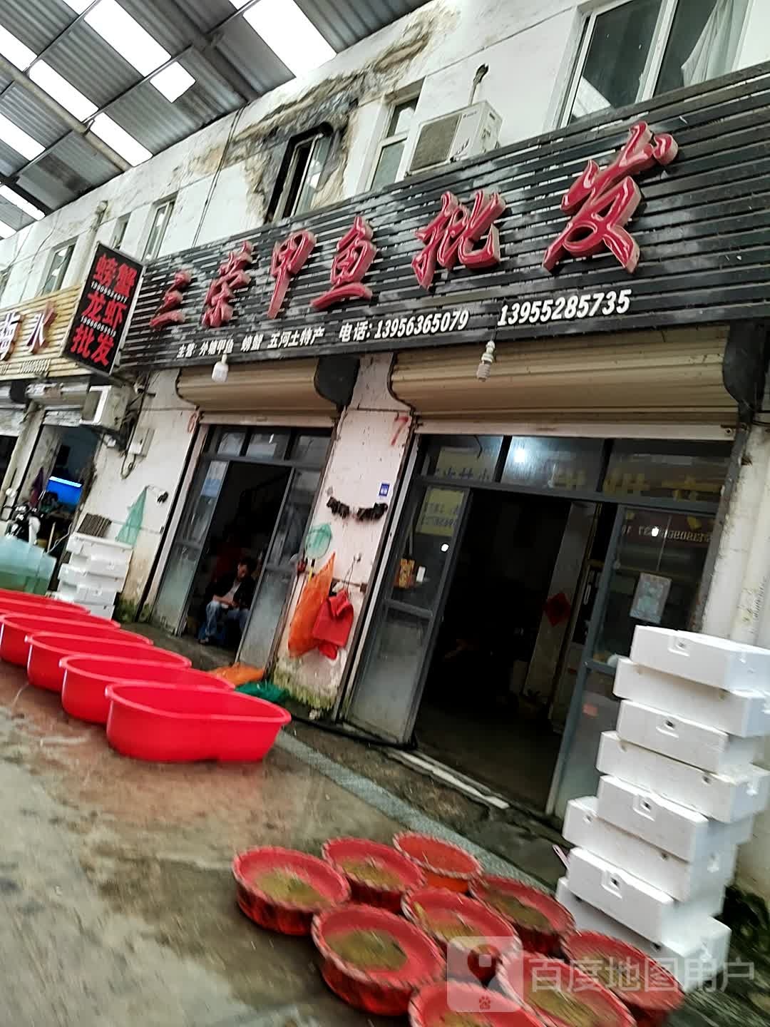 三容甲鱼批发