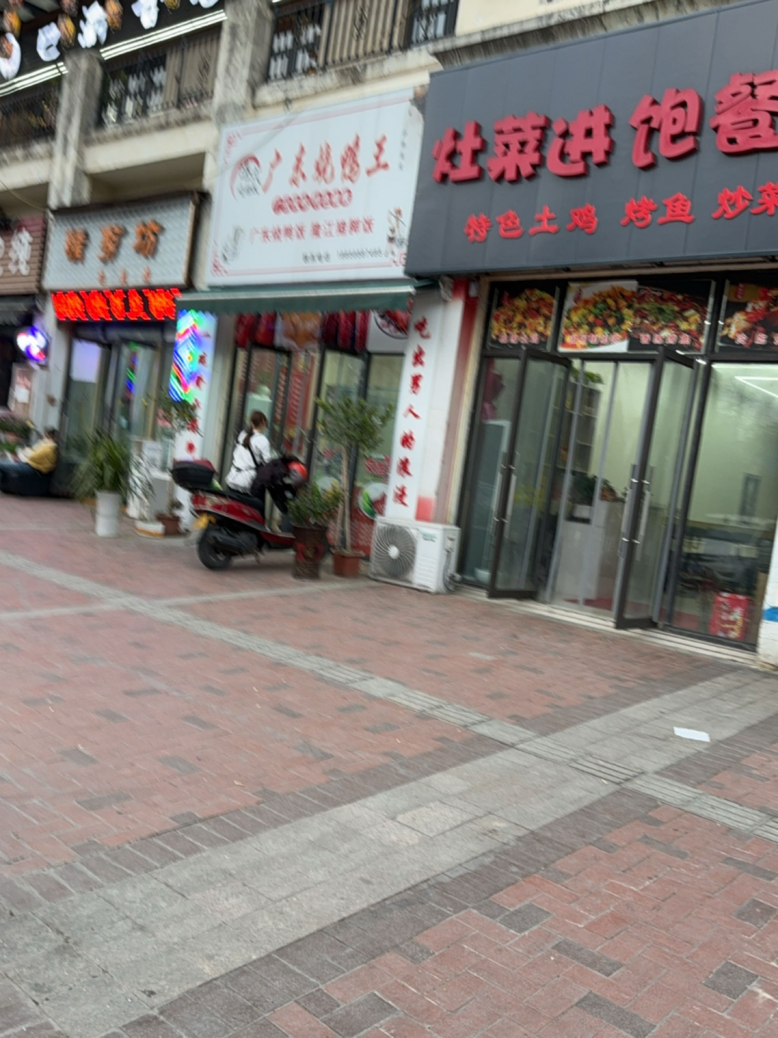 广东烧鸭王