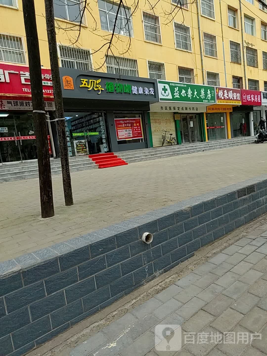 五贝子植物吻健康发染