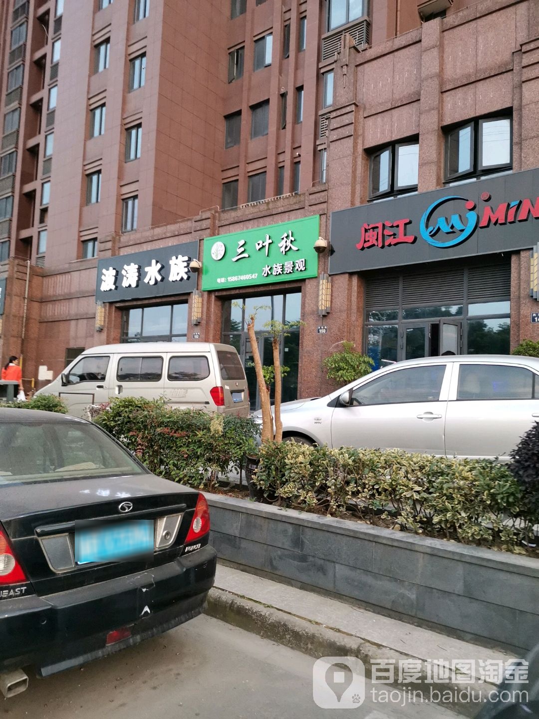 三叶秋水族景观