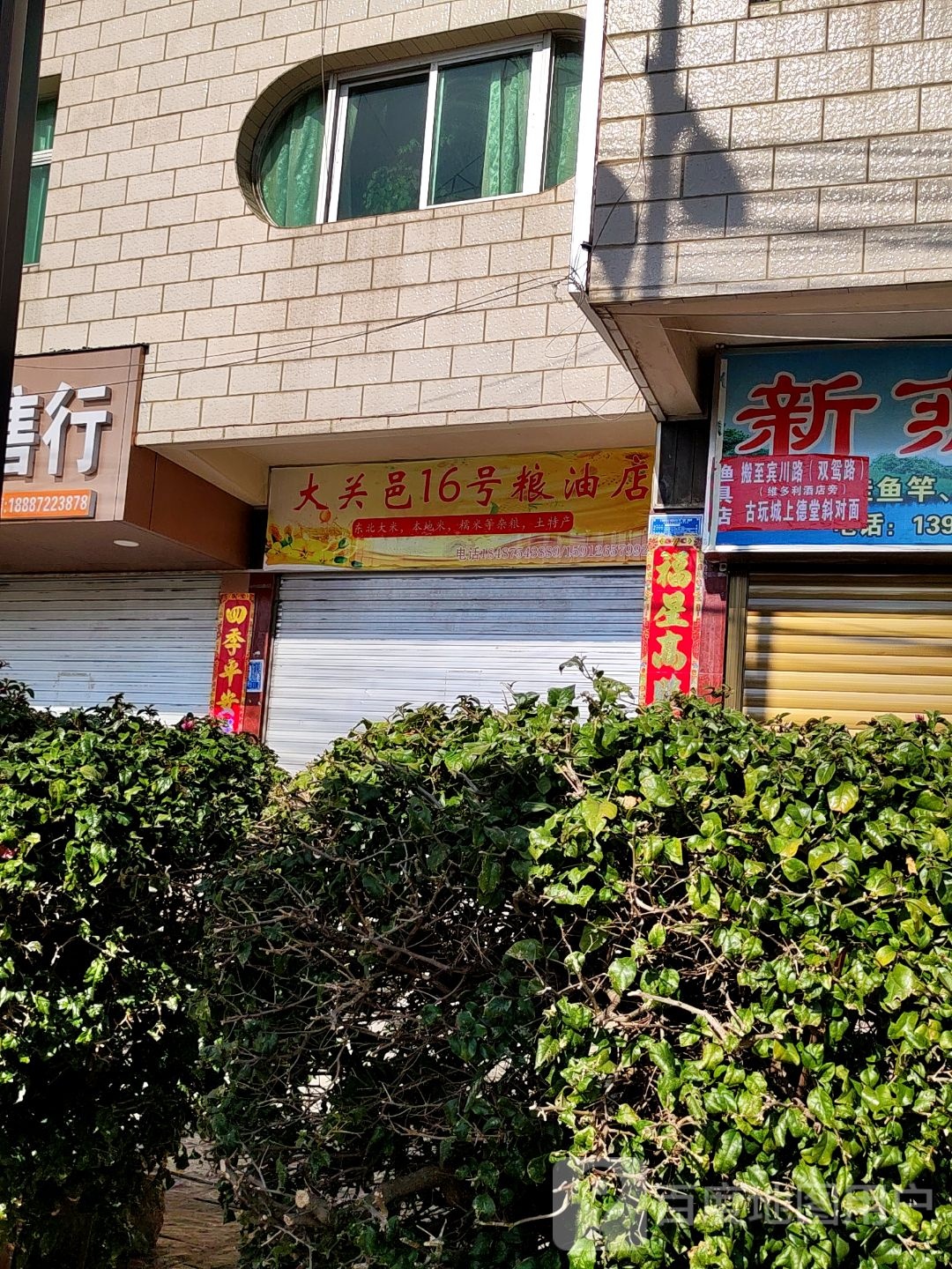 大关邑16号粮油店