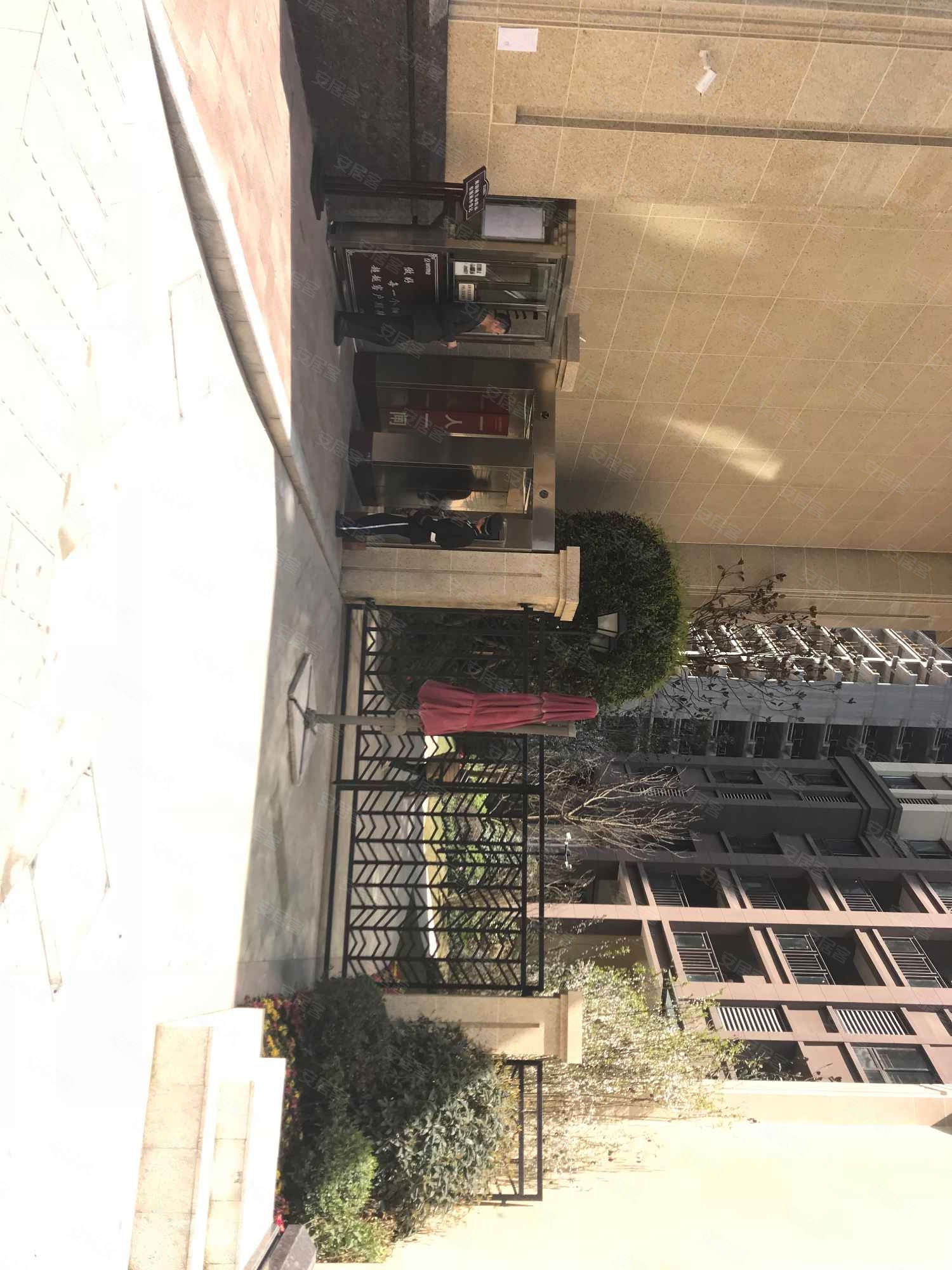 泽京现代