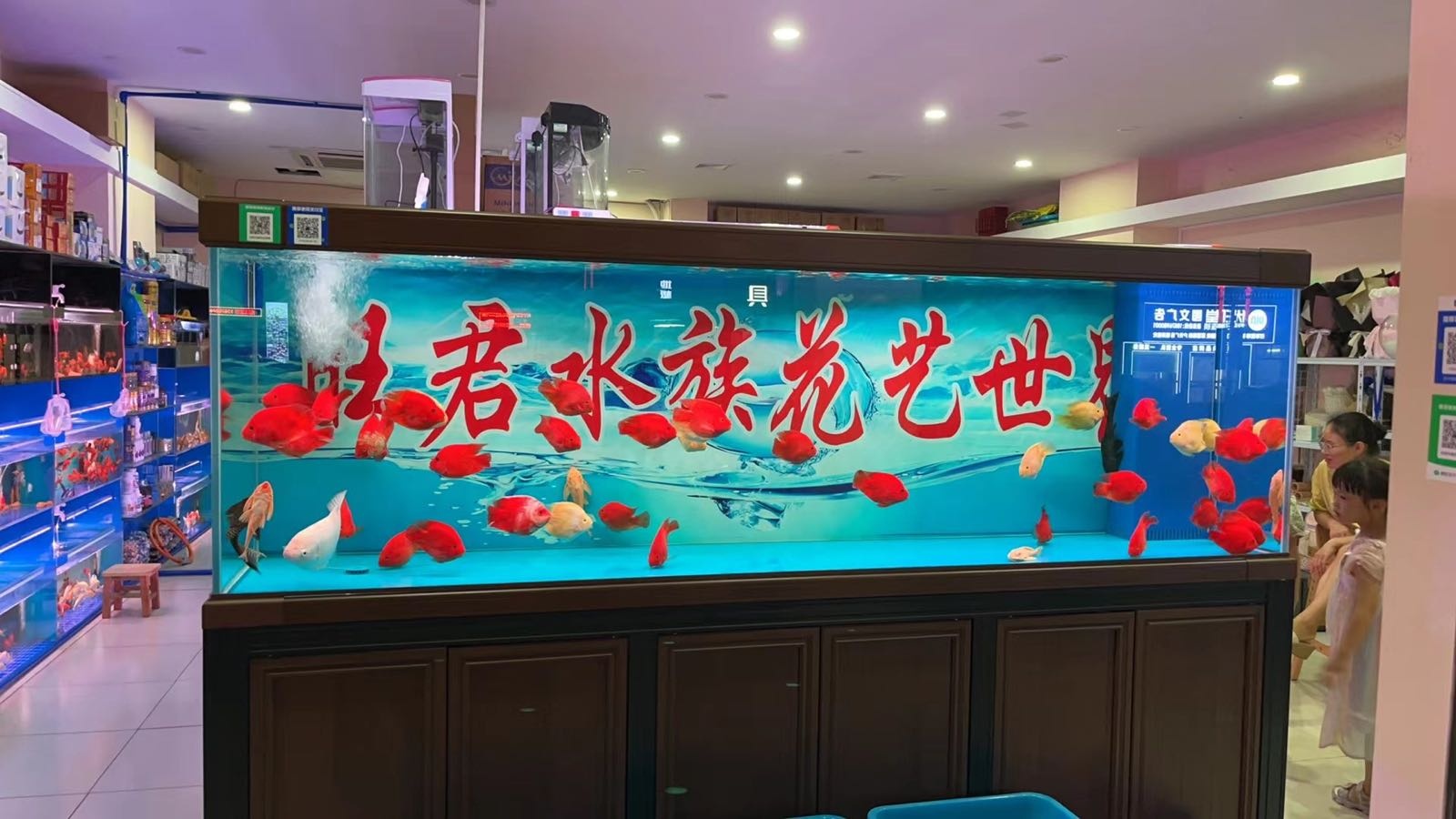 旺君水族花艺世界