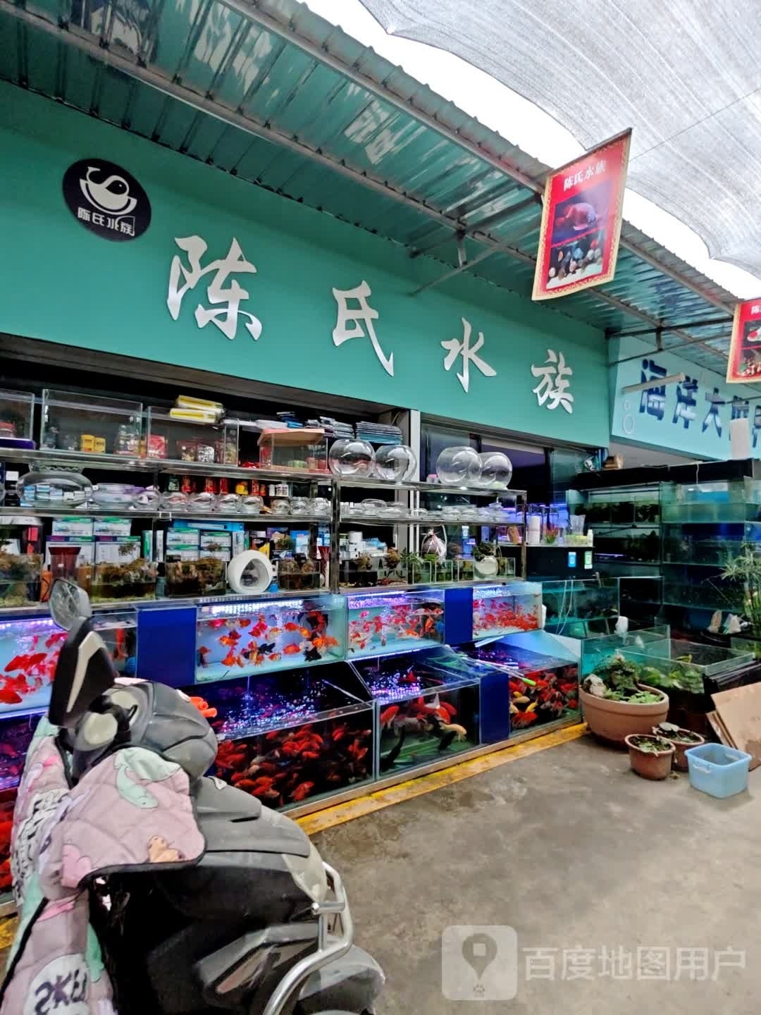 陈氏水族(江油旗舰店)