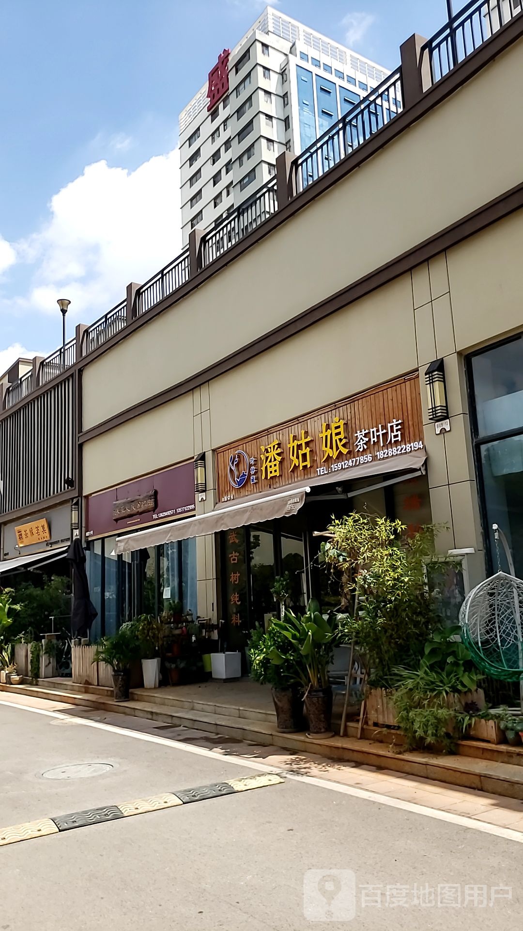 潘姑娘茶叶店