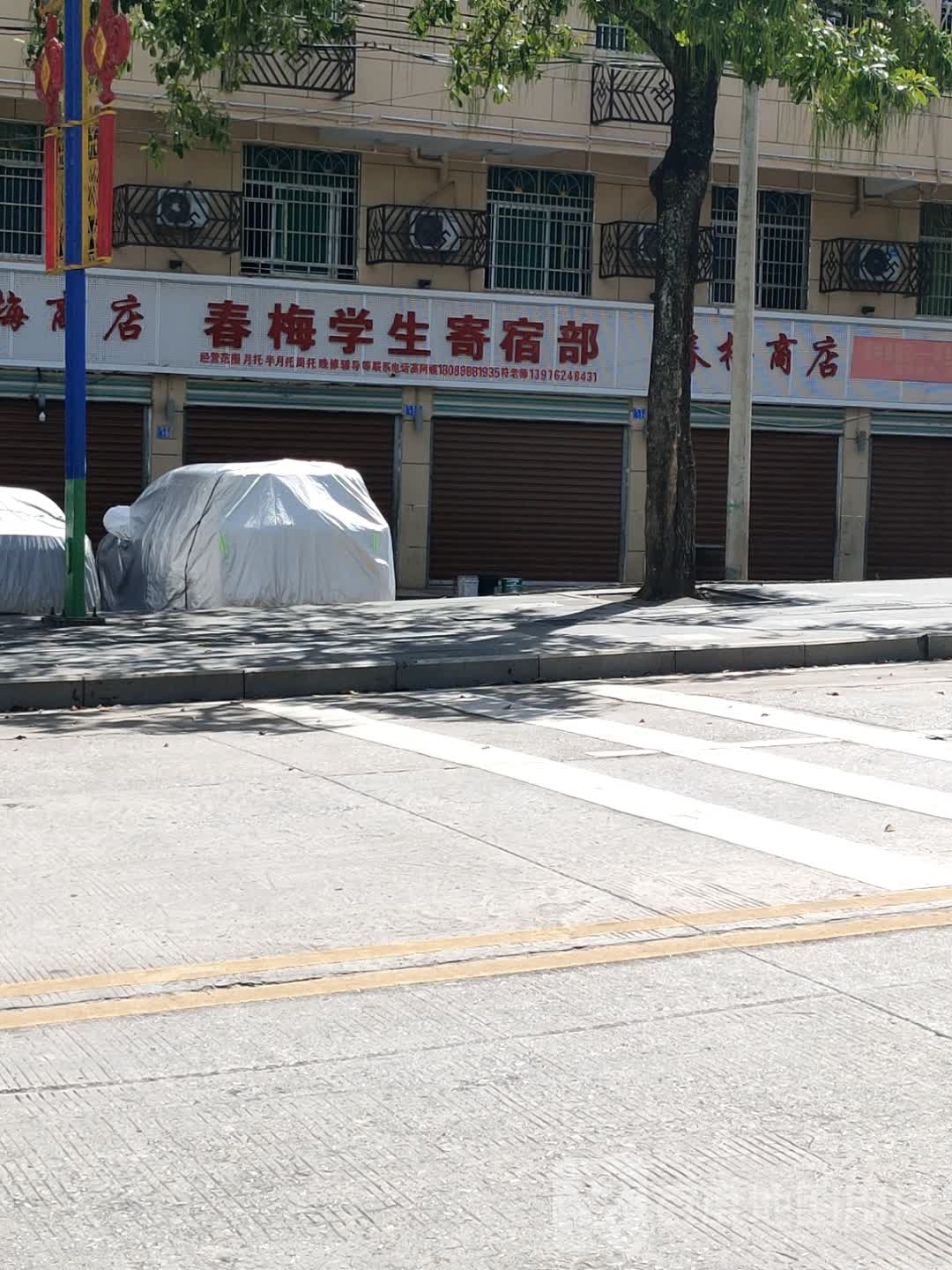 春梅商店(桥南路店)