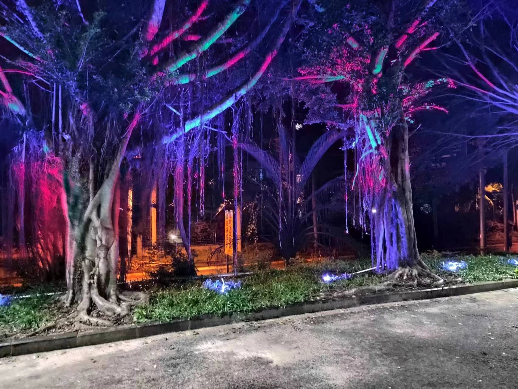 万宁鲲鹏温泉度假村