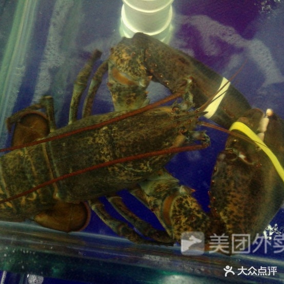 八区海鲜河蟹