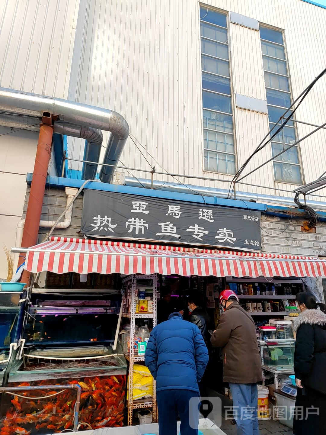 亚马逊热带鱼专卖生态馆(第三分店)