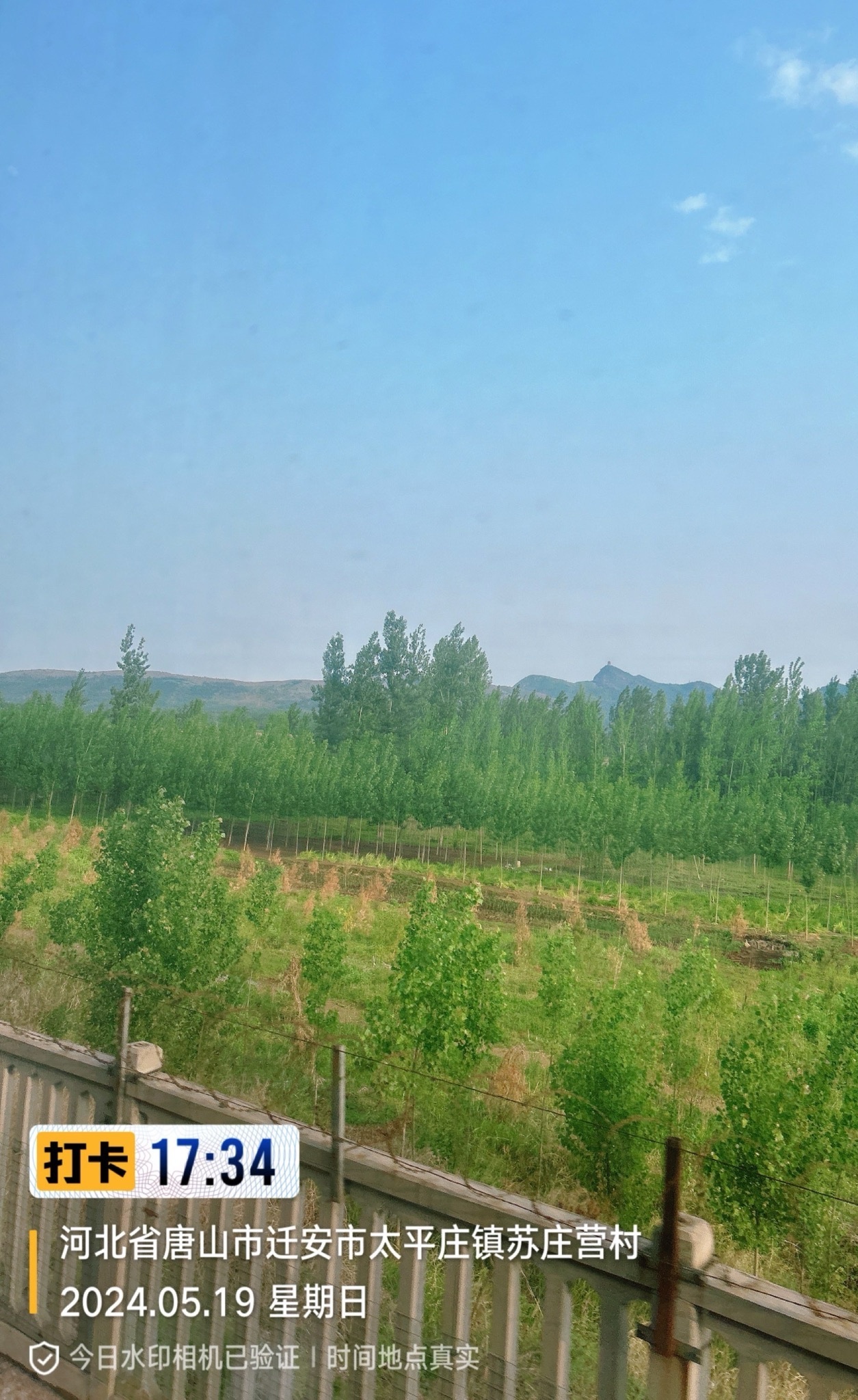 庆阳农场