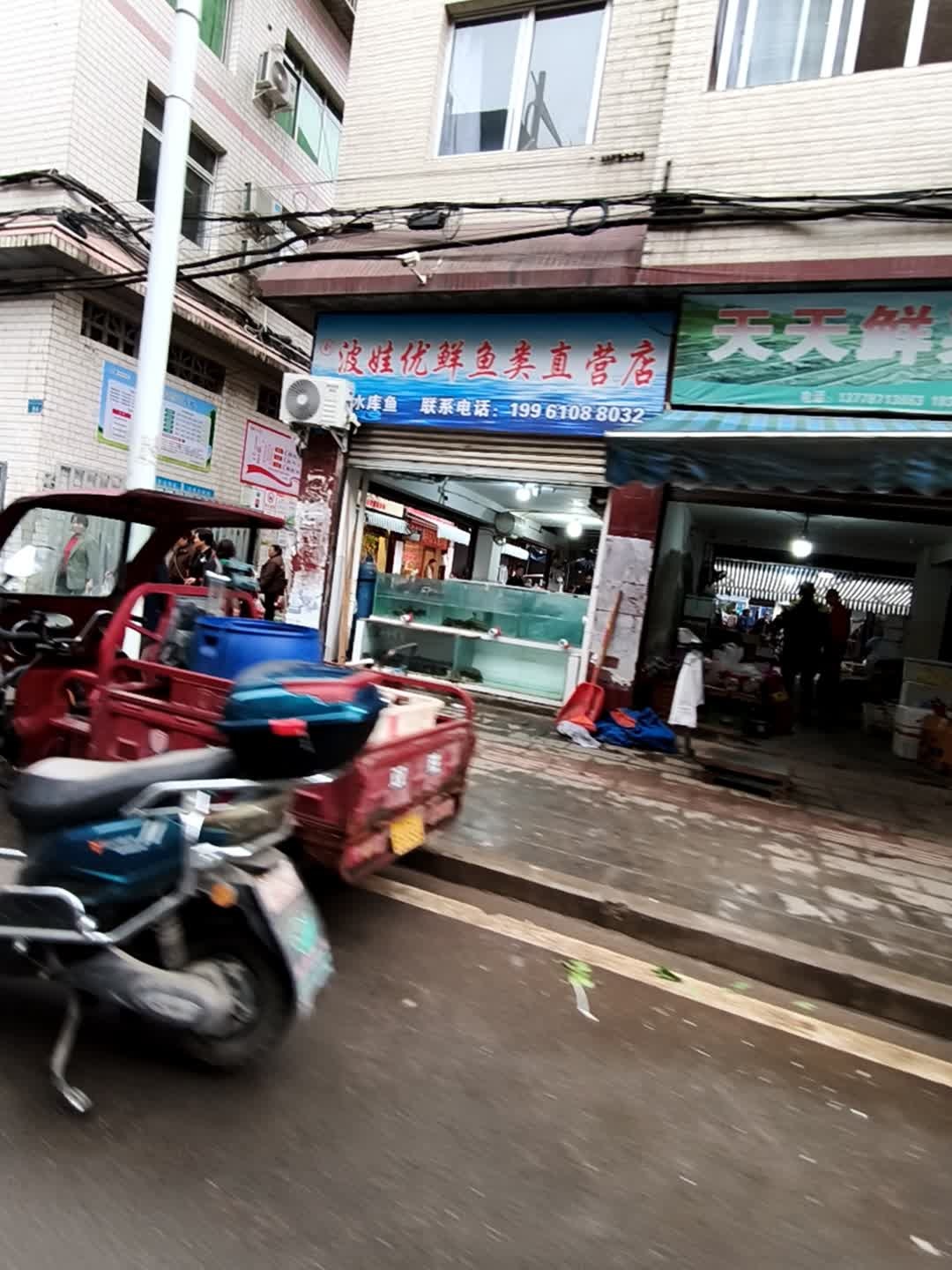 波娃优鲜鱼类直营