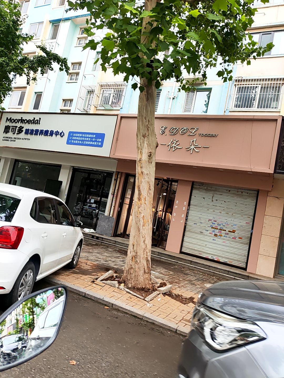 摩可多精准营养瘦身·新西兰品牌·减肥·减脂(龙顺道店)