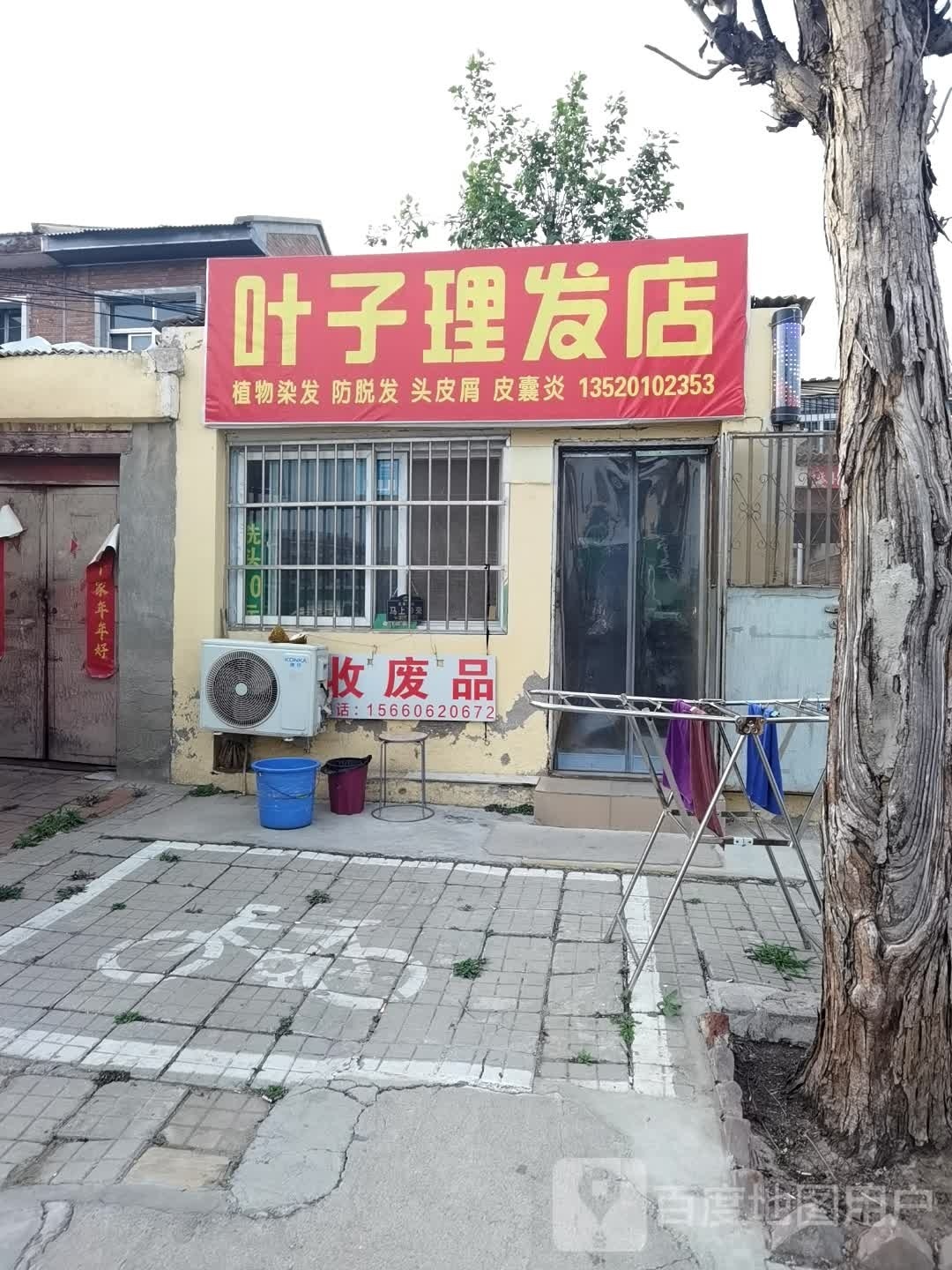 植物染理理发