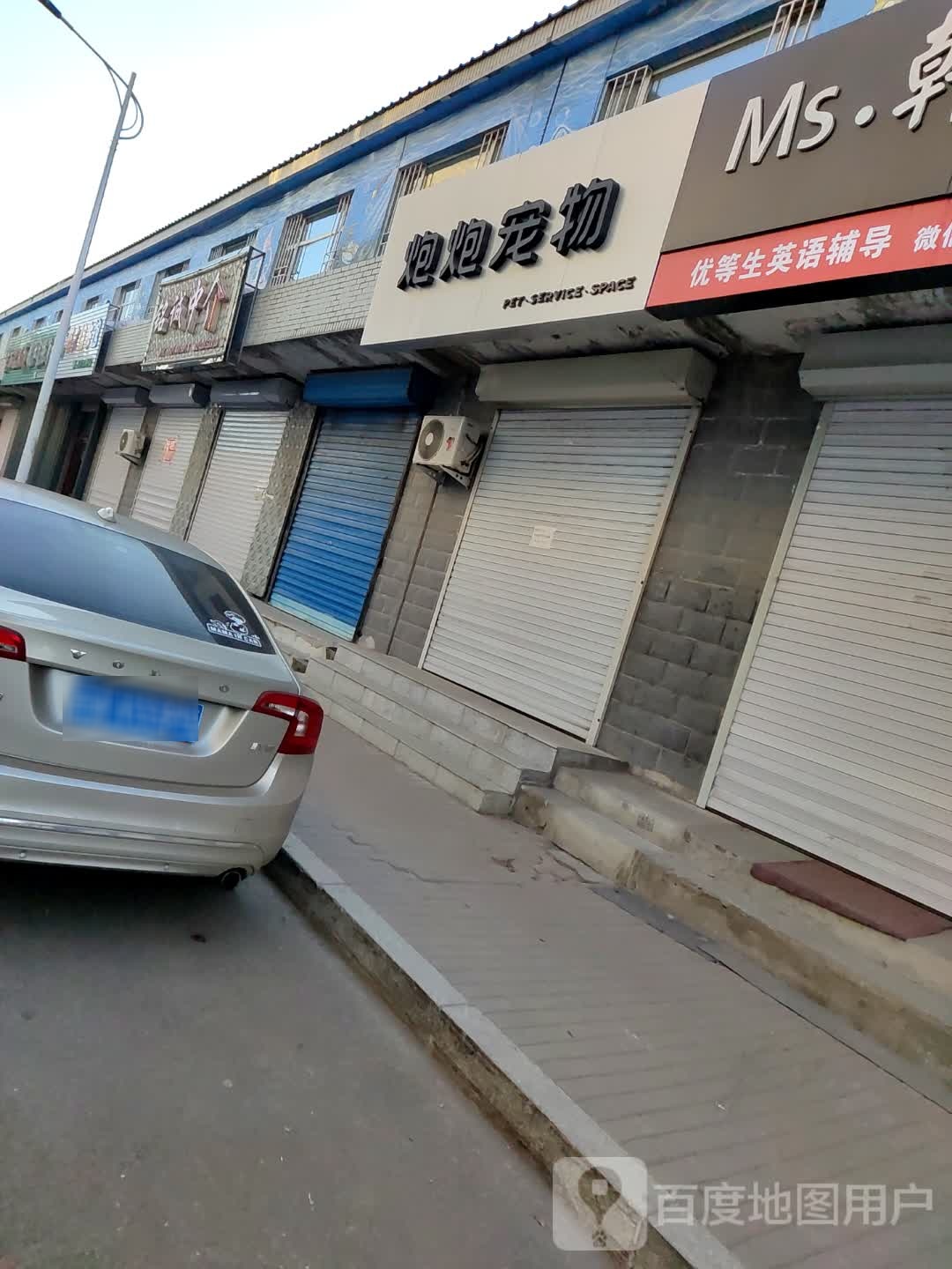 炮炮宠物