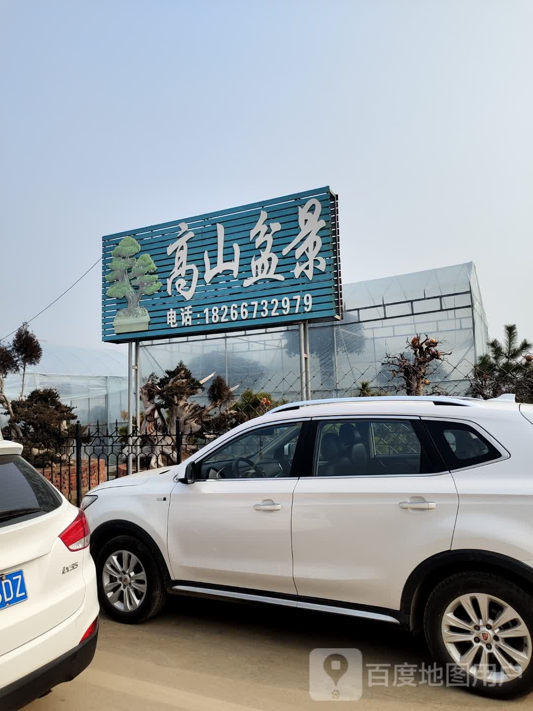 蒙山盆景