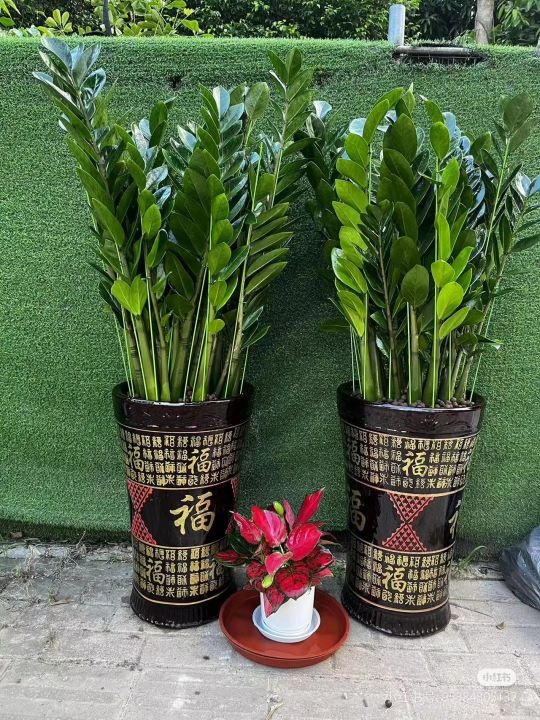 欣妍花店