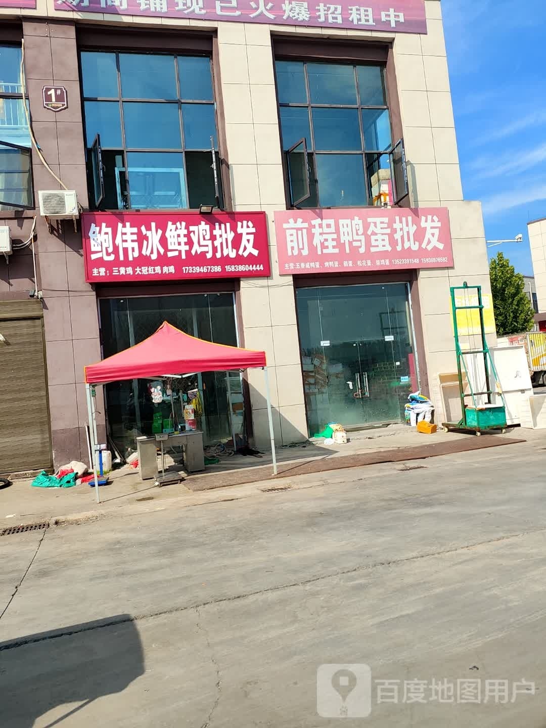 鹿邑县鲍伟冰鲜鸡批发