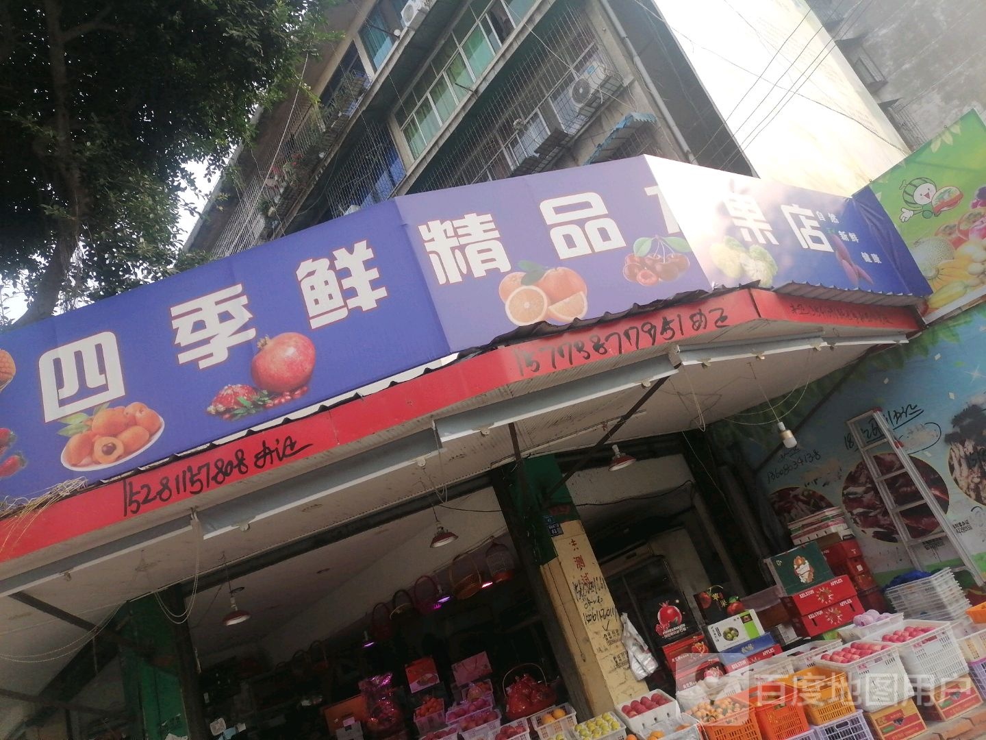 四季鲜精品水果店(书院街二段店)