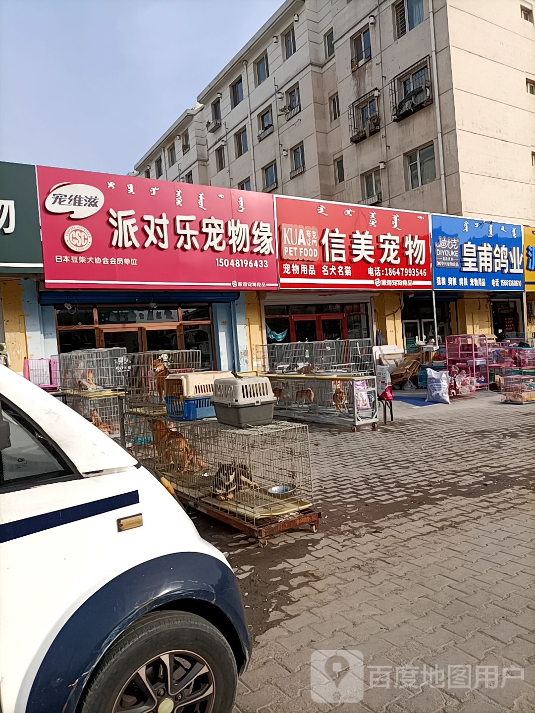 优锐派萌宠乐园宠物店