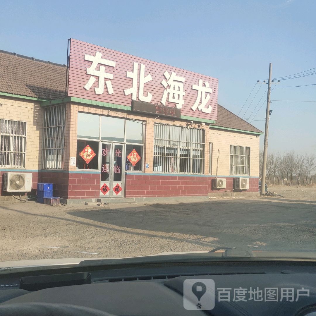 东北海龙