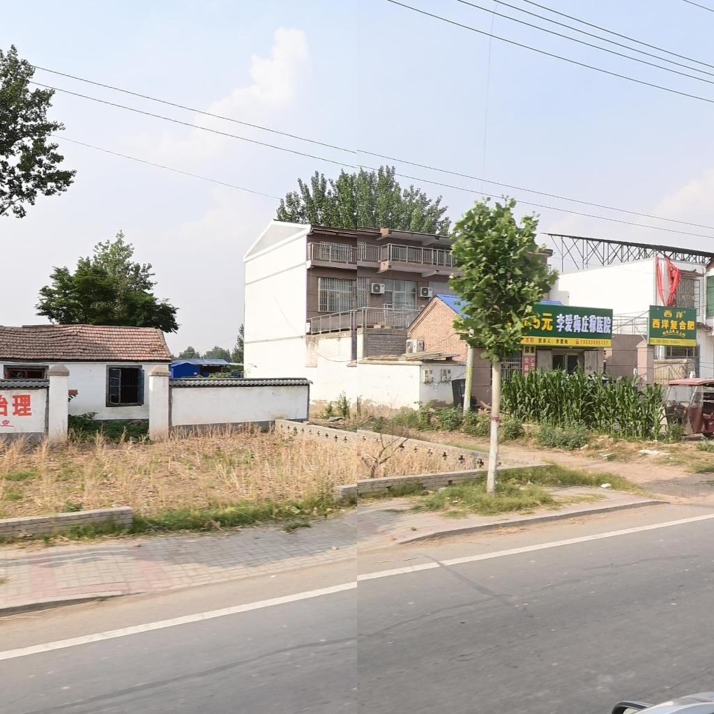 李爱梅庄稼医院