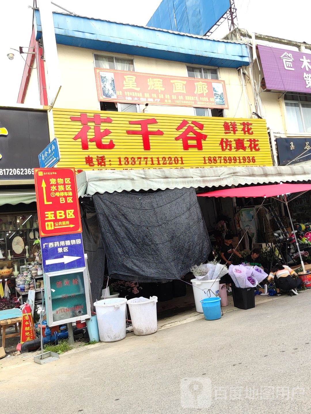 星辉画廊(南宁花鸟市场店)