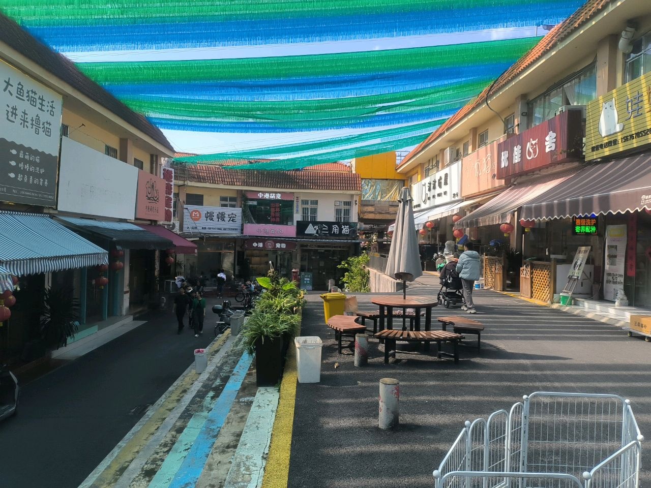 中港宠物(广西花鸟交易市场店)