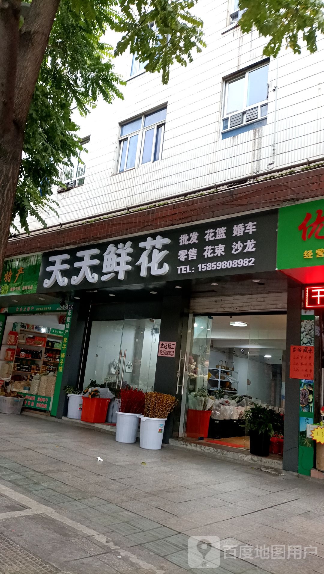 天天鲜花(水坝路店)