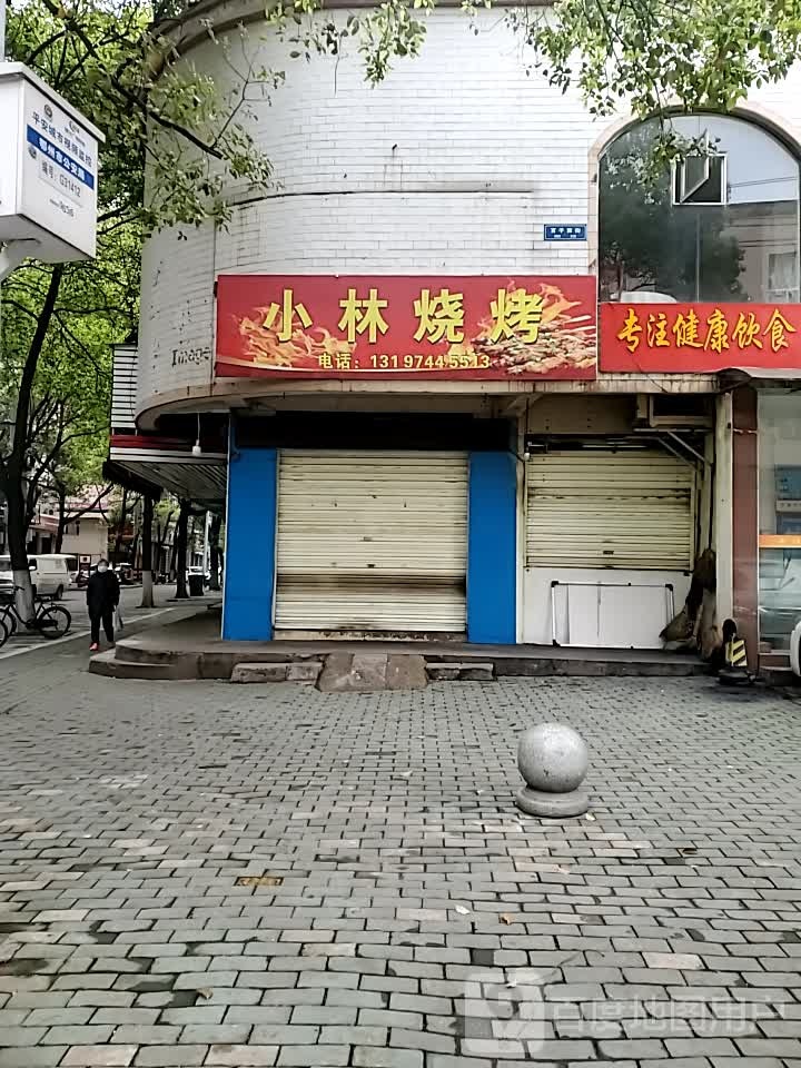 专注健康饮食