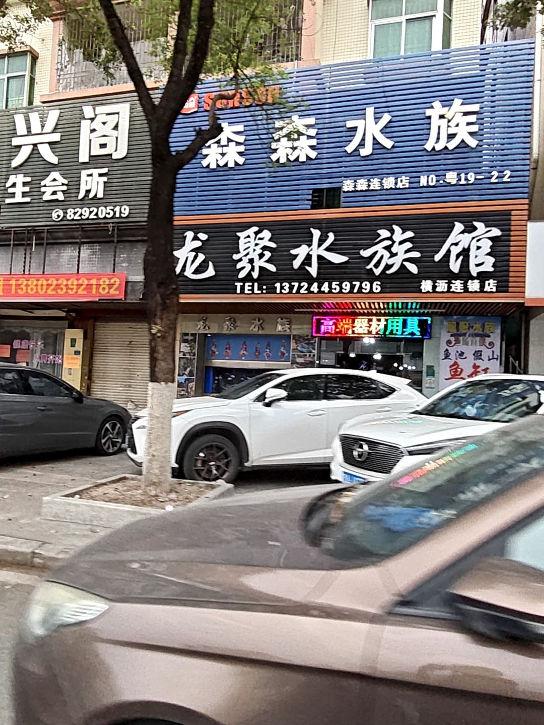 龙聚水族馆(横沥店)