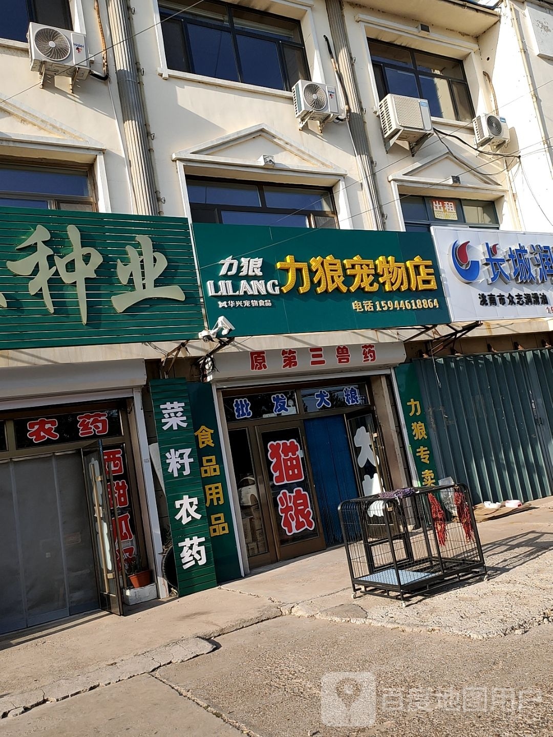 力狼宠物店