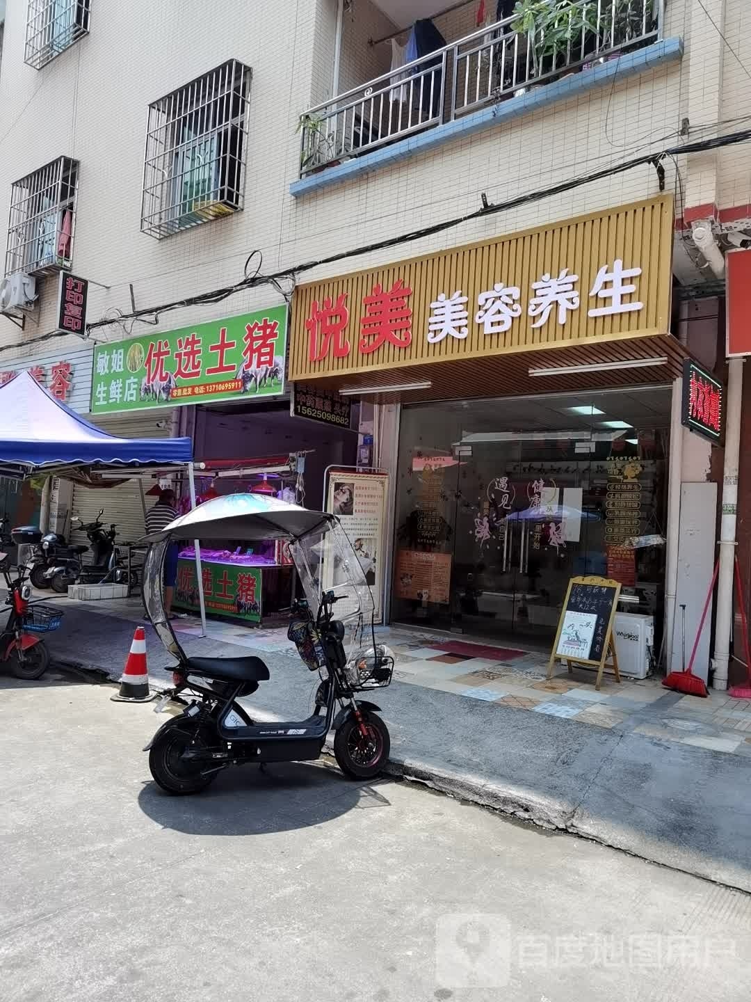 敏姐渔生鲜店