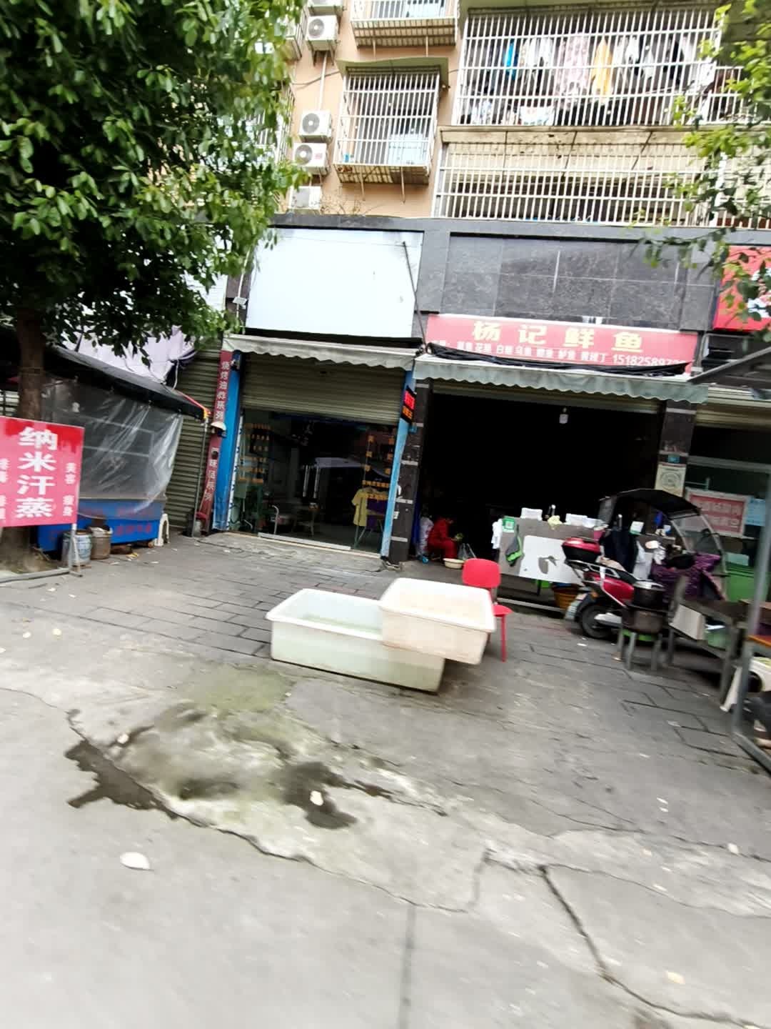 杨记鲜鱼