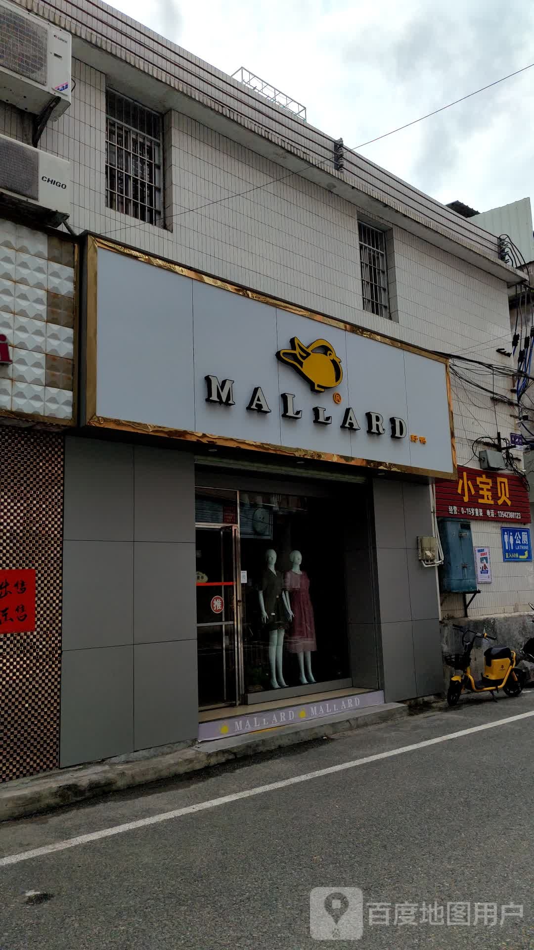 MALLARD法国野鸭