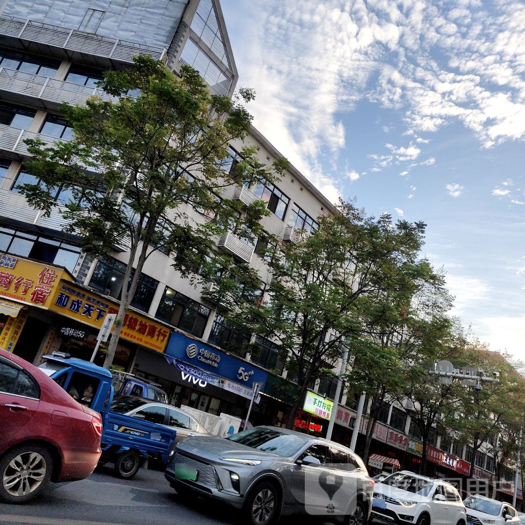 中国移动手机专卖店(挂口店)