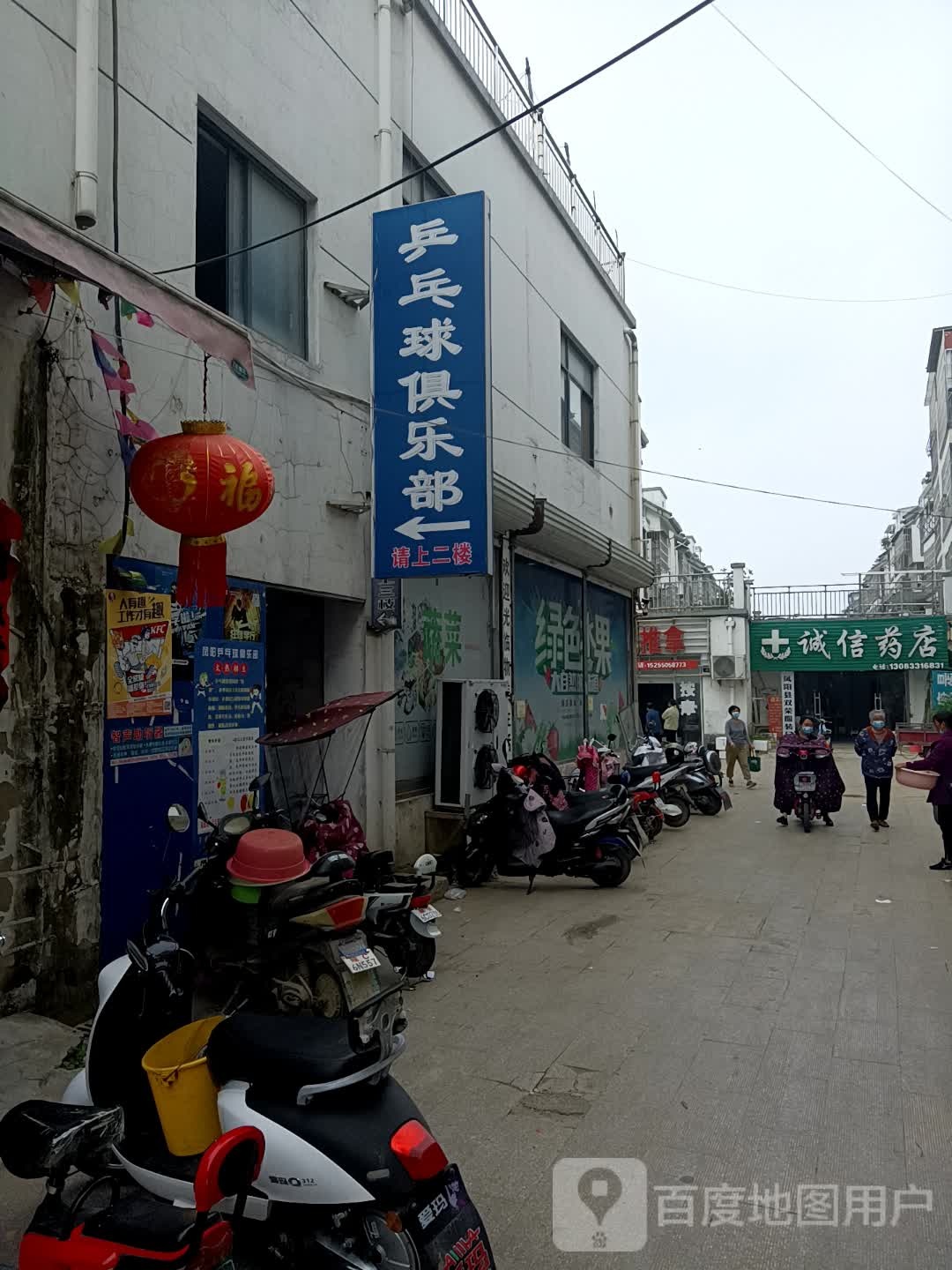 凤阳乒乓球俱乐部