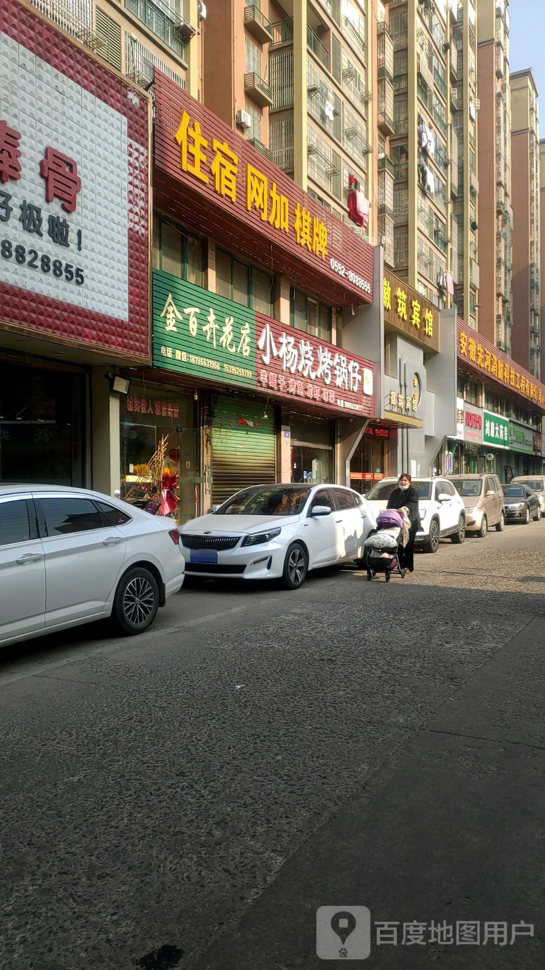 金百卉花点