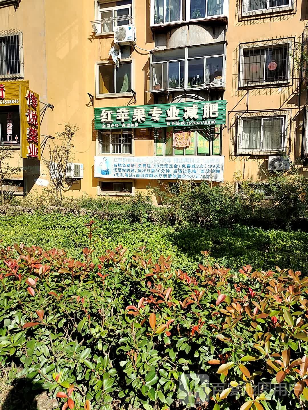 红苹果专业减肥