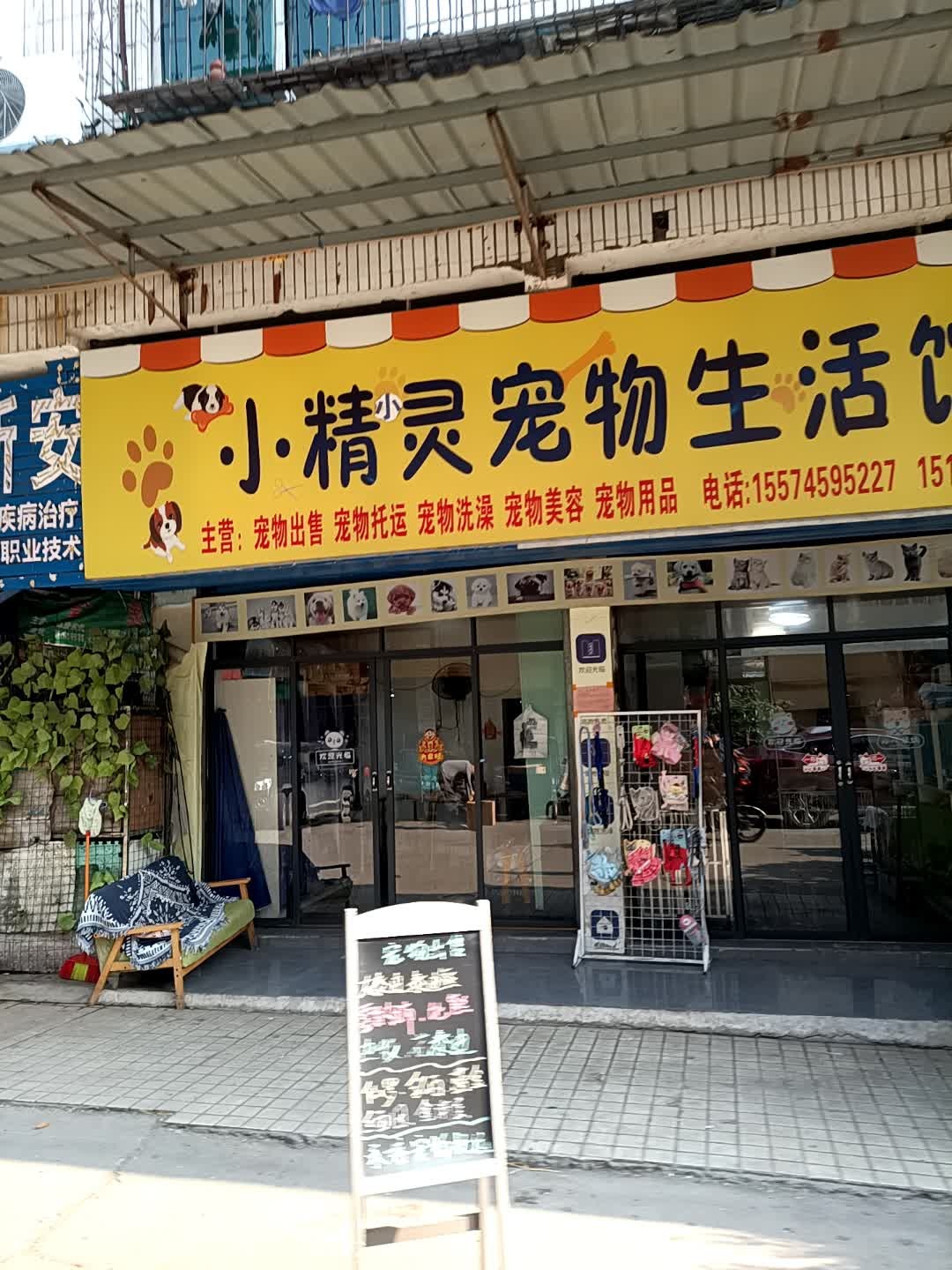小精灵宠物生活馆