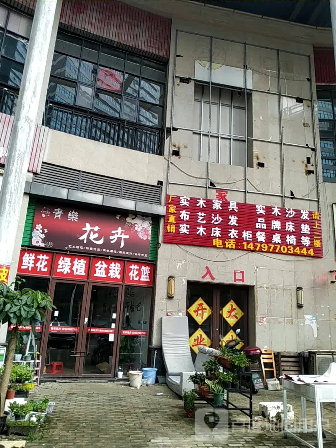 青乐花卉(翡翠园店)