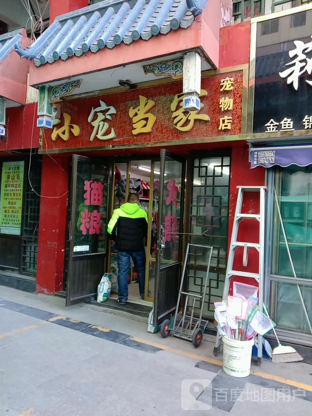 小宠当家宠物店(胜利路店)