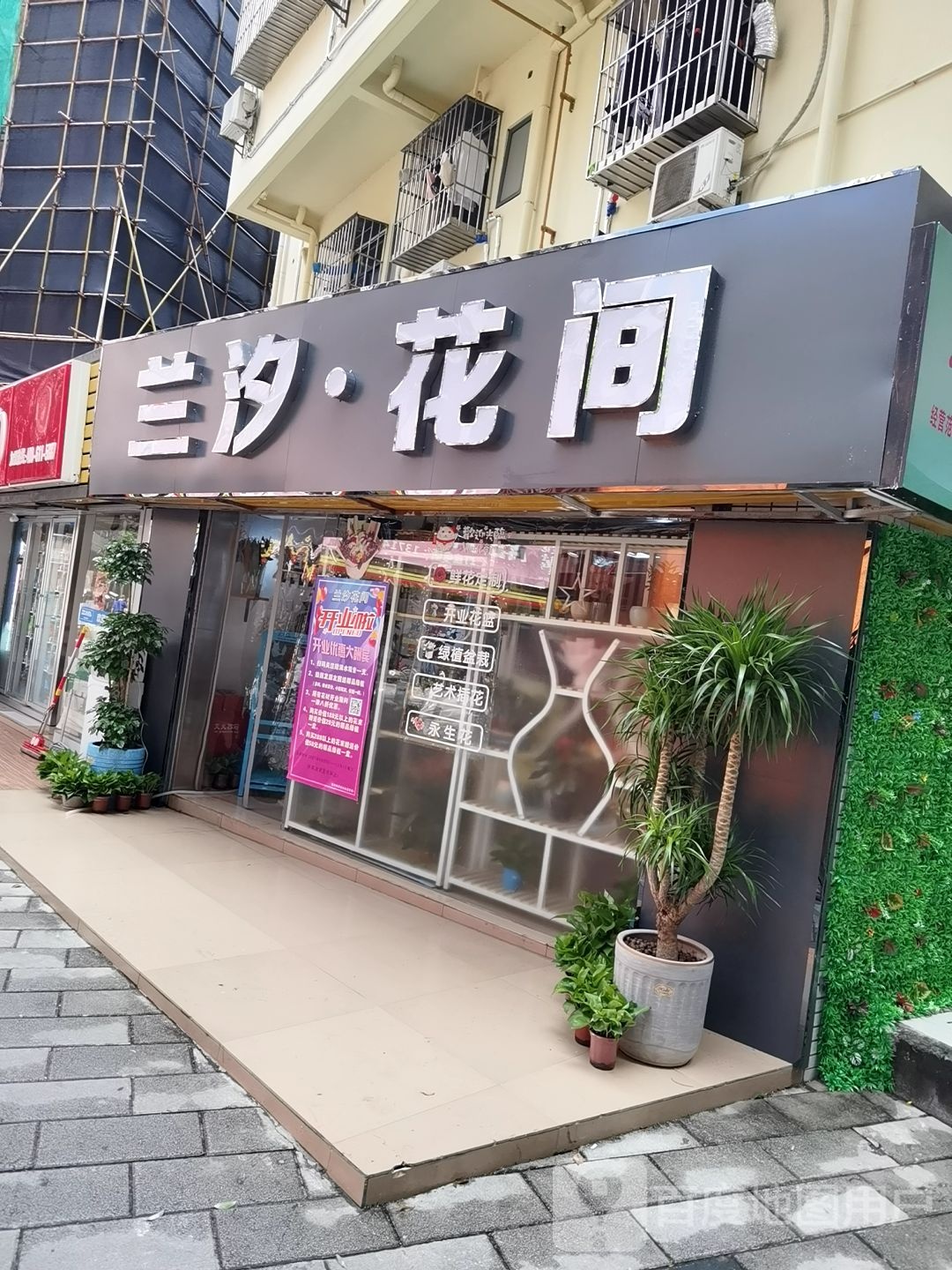 兰汐花间