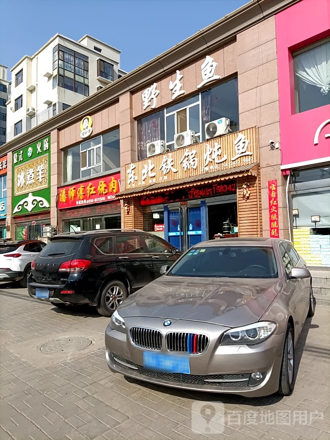 东北铁锅炖鱼(御景嘉苑店)